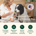 Dog Probiotic Powder product image 2