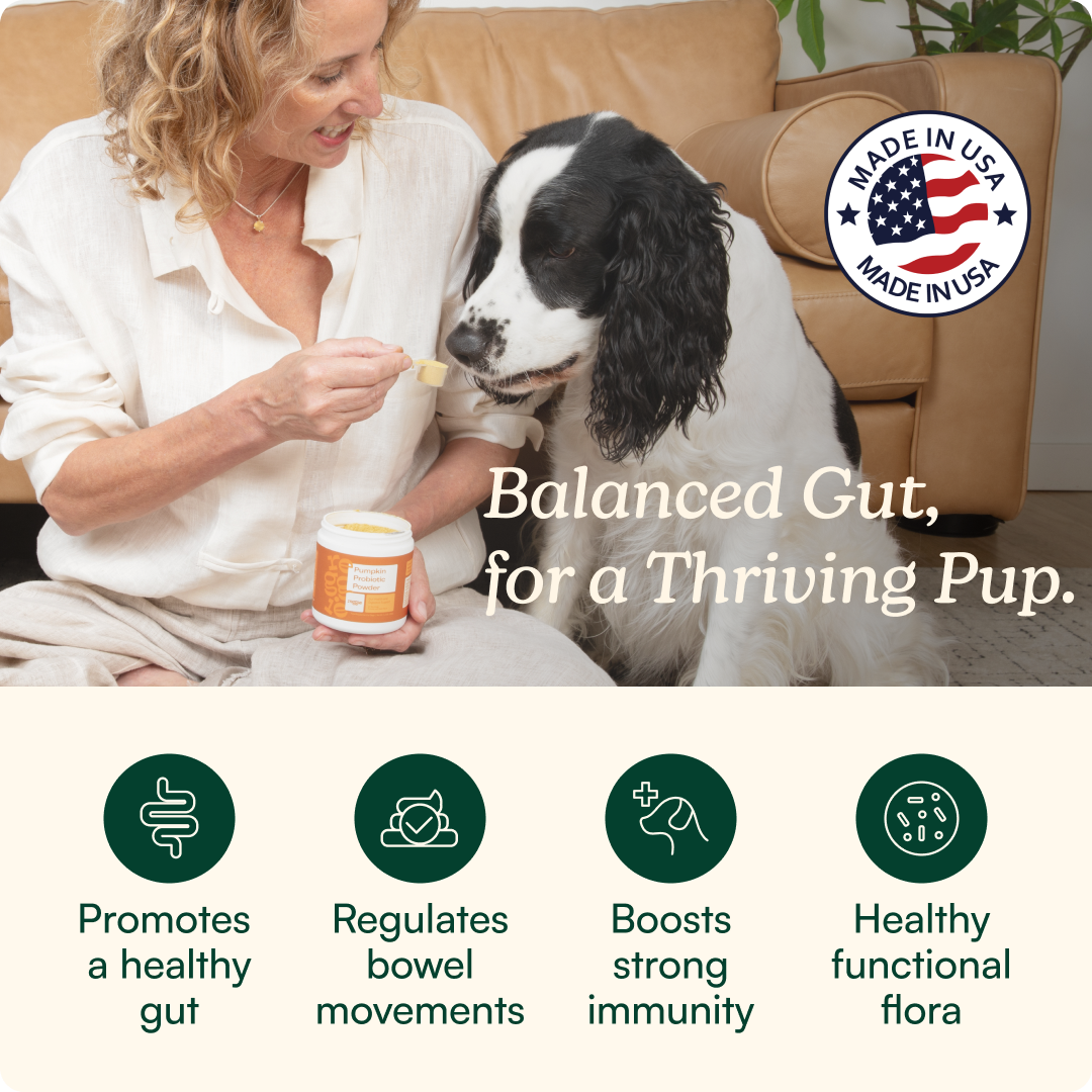 Dog Probiotic Powder product image 2