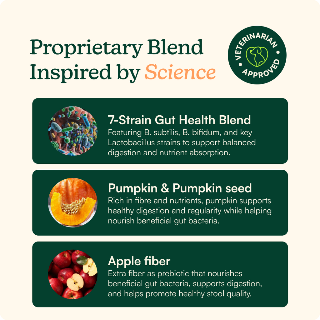 Dog Probiotic Powder product image 3