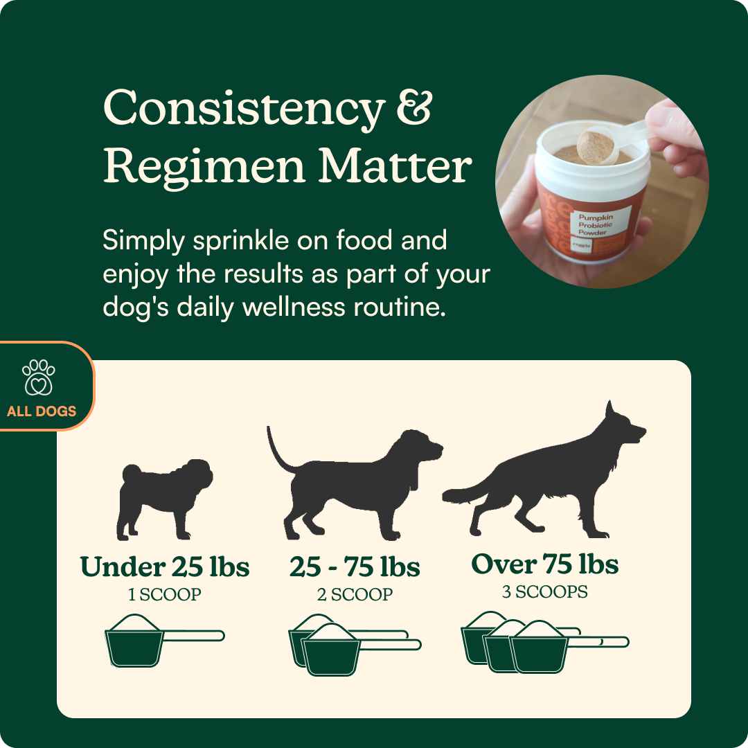 Dog Probiotic Powder product image 4
