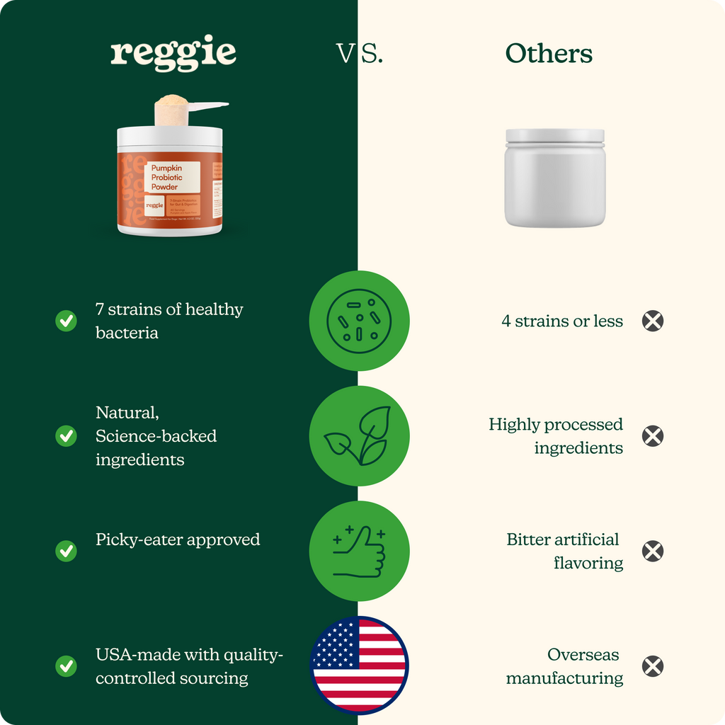 Dog Probiotic Powder product image 5