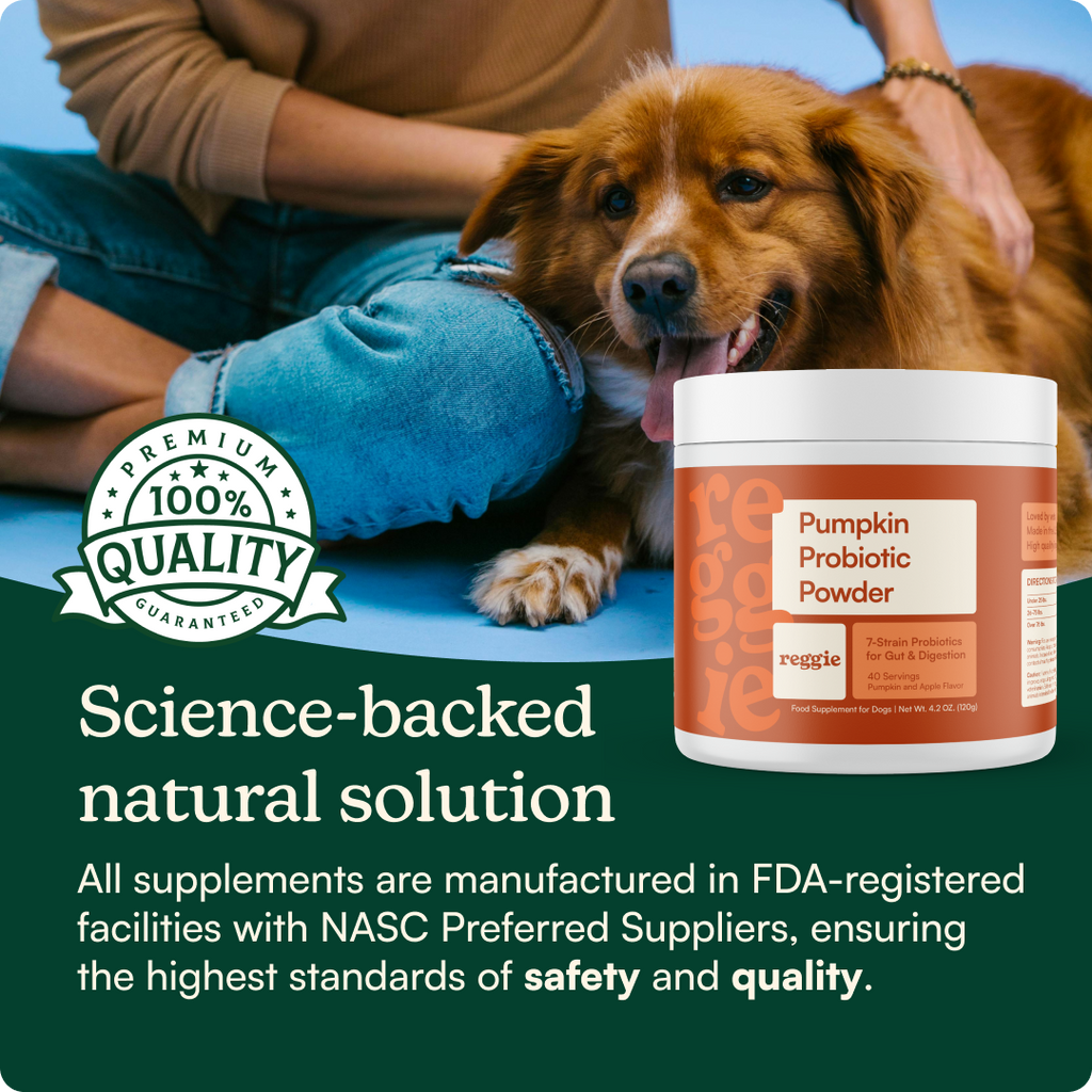 Dog Probiotic Powder product image 6