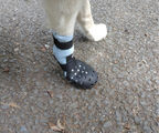 Breathable Rubber Dog Boots product image 19