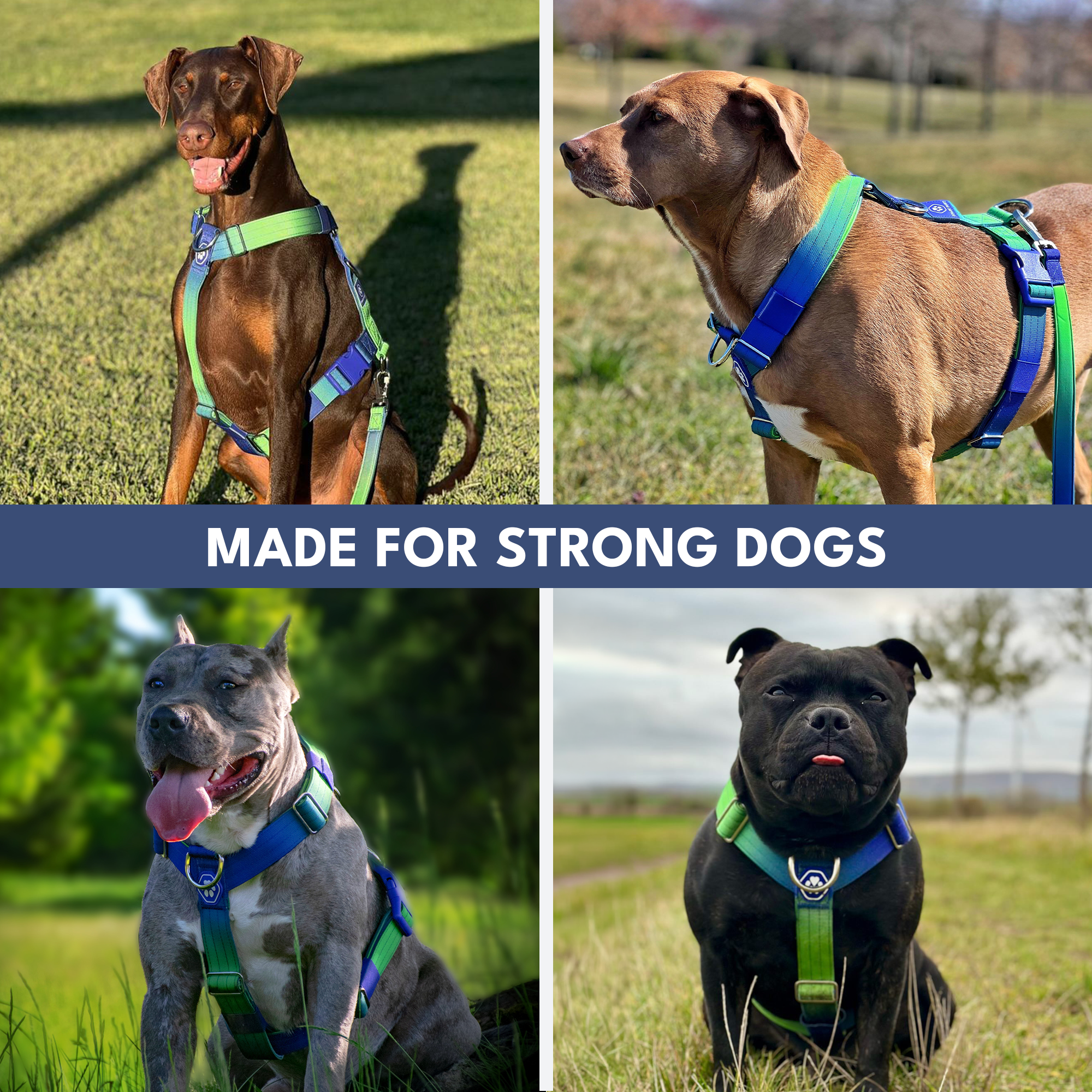 No-Pull Dog Harness Walking Set product image 20