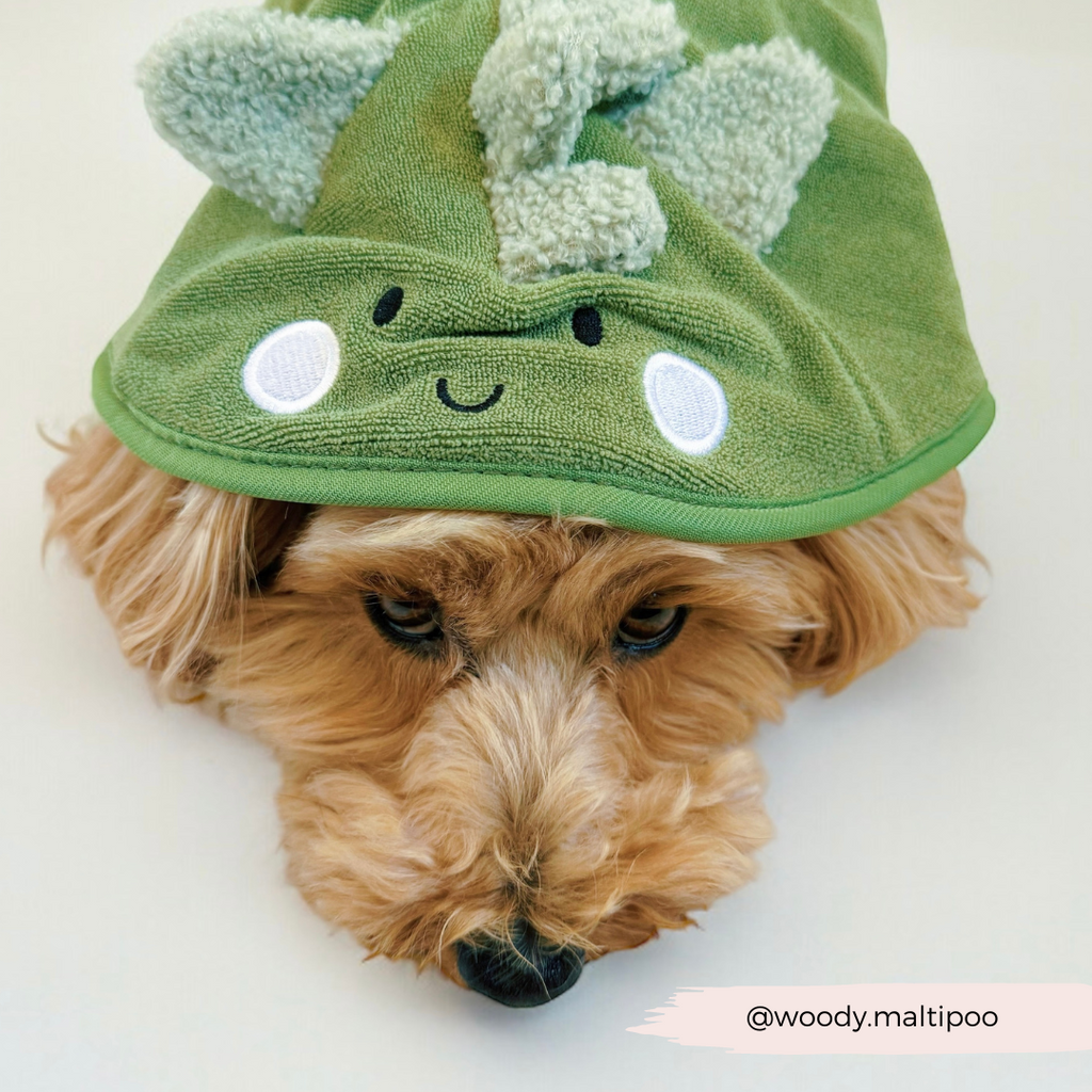 Dog Drying Robe product image 5
