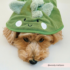 Dog Drying Robe product image 5