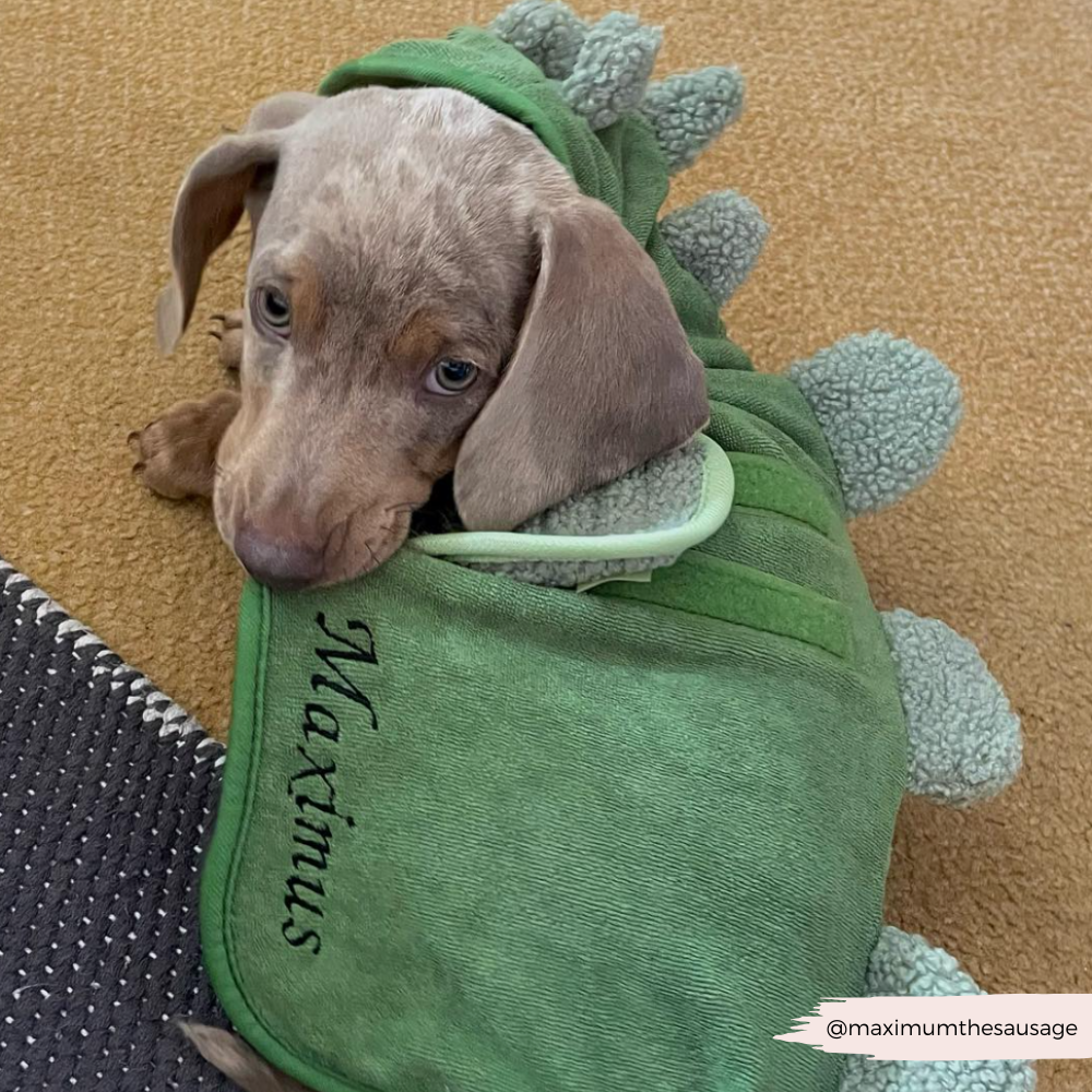 Dog Drying Robe product image 8