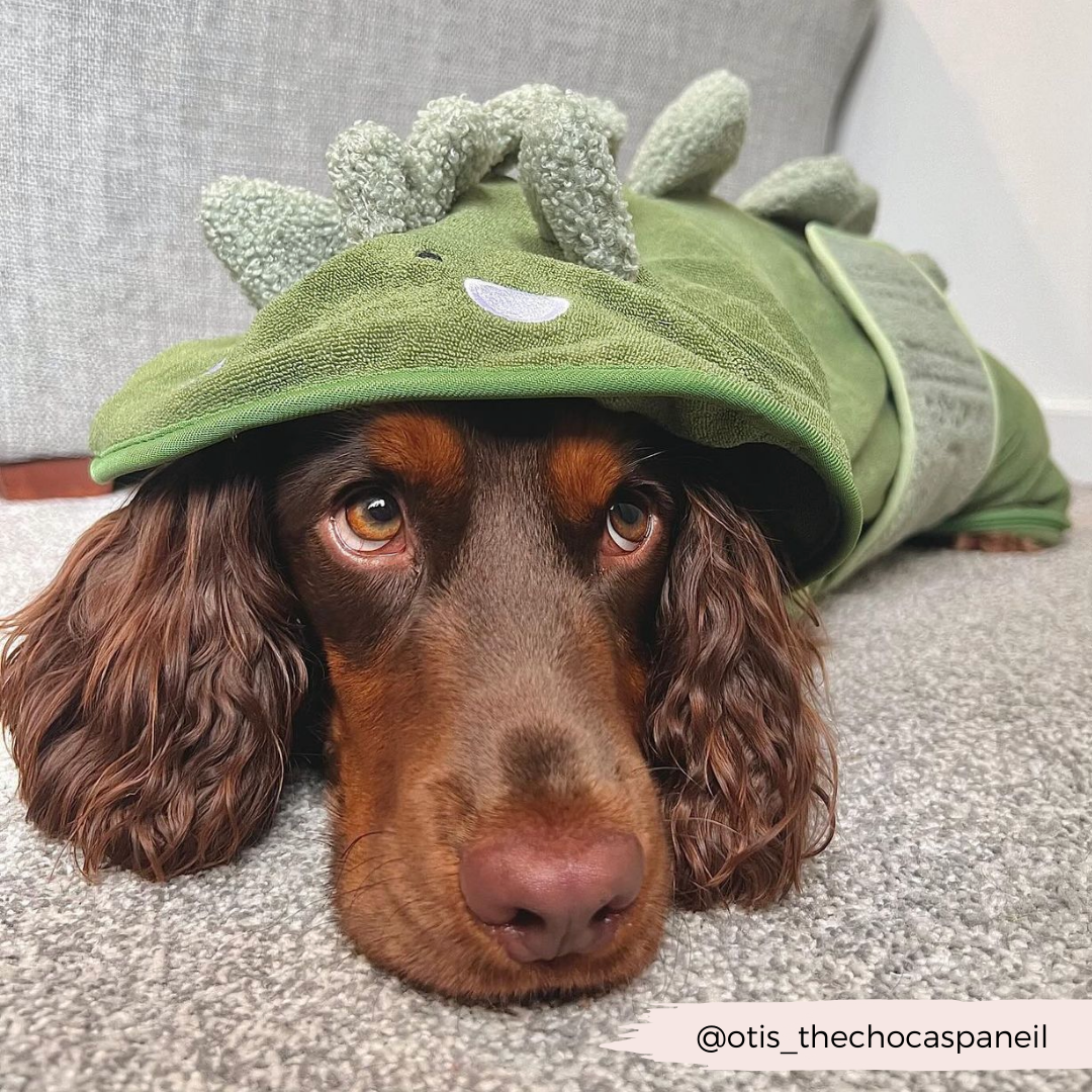 Dog Drying Robe product image 16