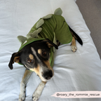 Dog Drying Robe product image 17