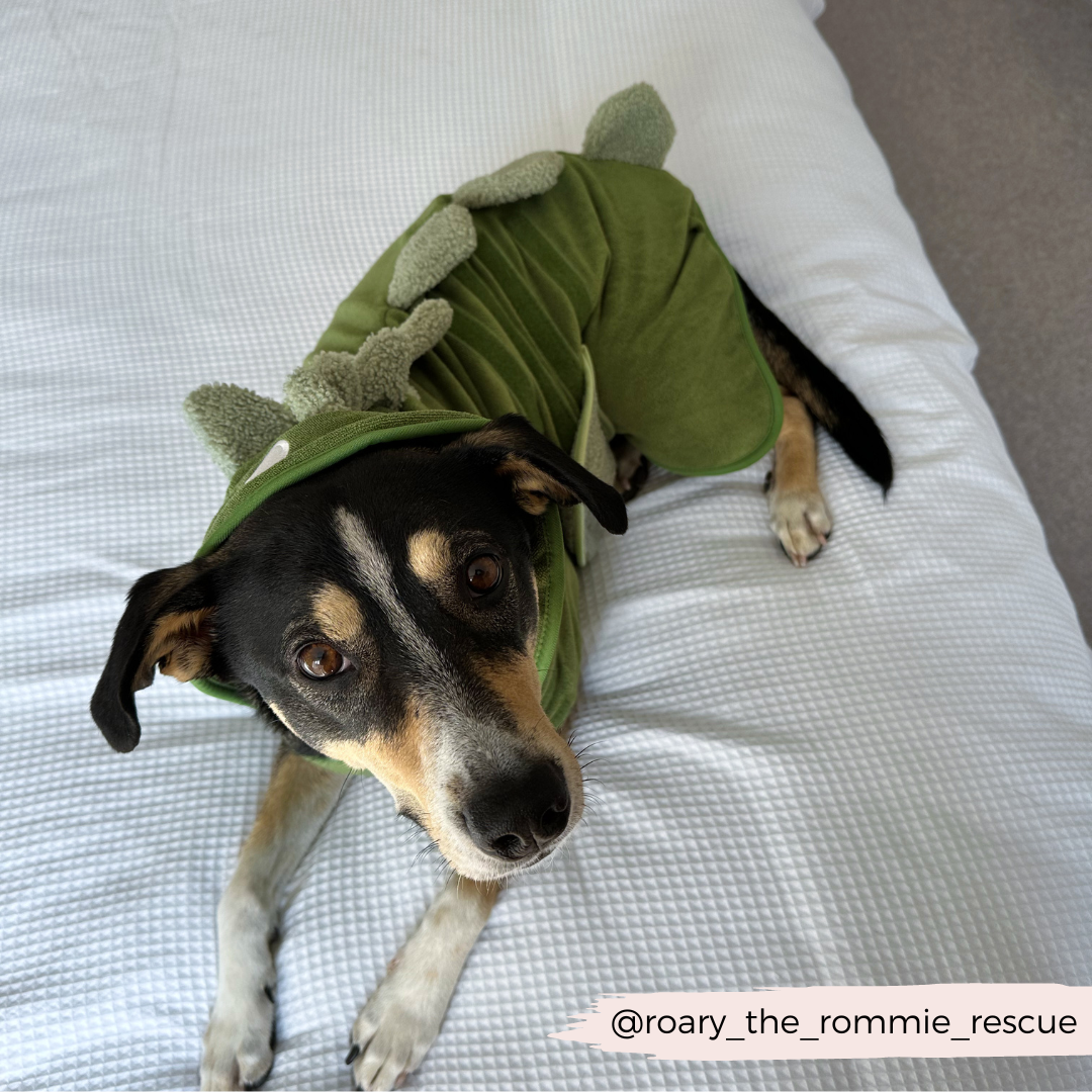 Dog Drying Robe product image 17
