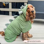 Dog Drying Robe product image 18