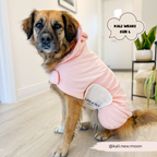 Dog Drying Robe product image 7