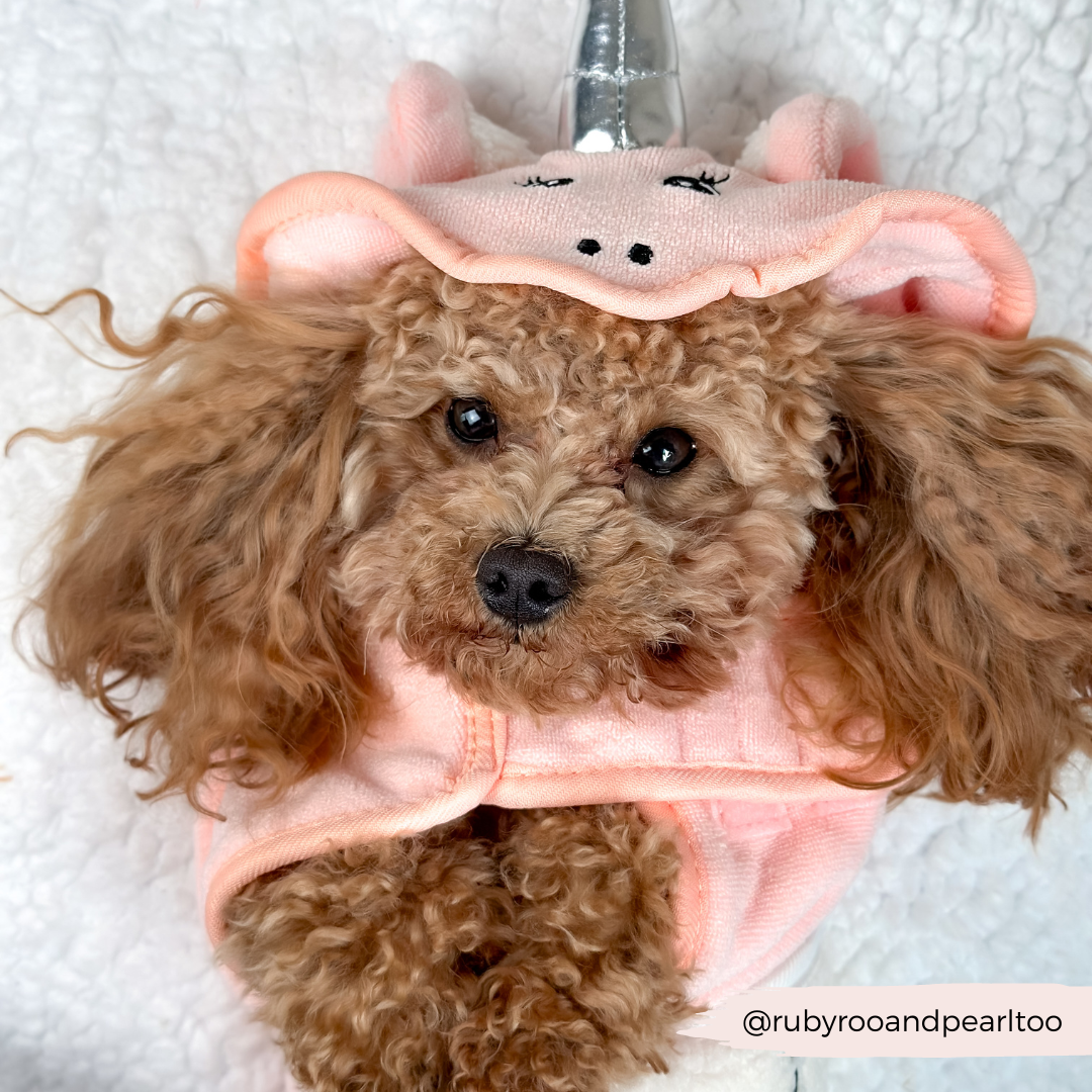 Dog Drying Robe product image 16