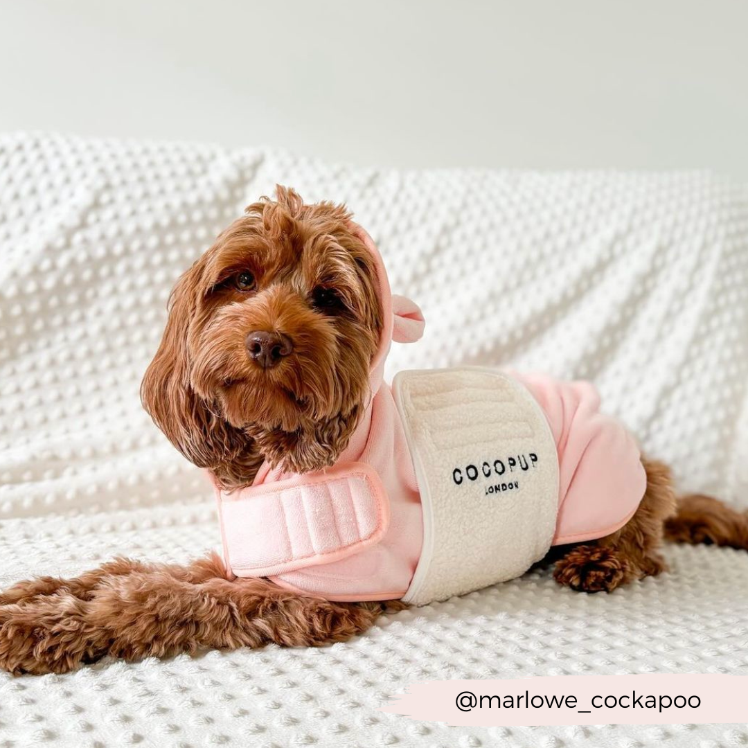 Dog Drying Robe product image 18