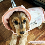 Dog Drying Robe product image 20