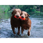 Dog Chew Toy product image 7