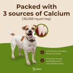 Dog Multivitamin and Calcium Supplement product image 2
