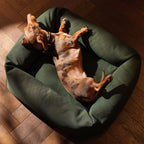 Bolster Dog Bed product image 1