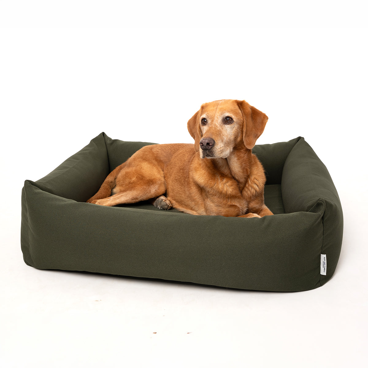 Bolster Dog Bed product image 2