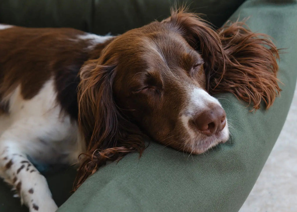 Bolster Dog Bed product image 3