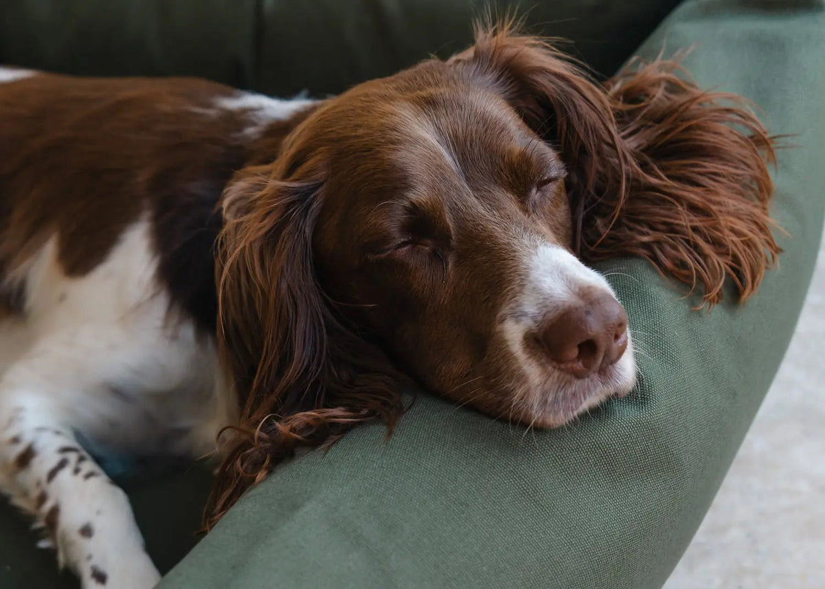 Bolster Dog Bed product image 3