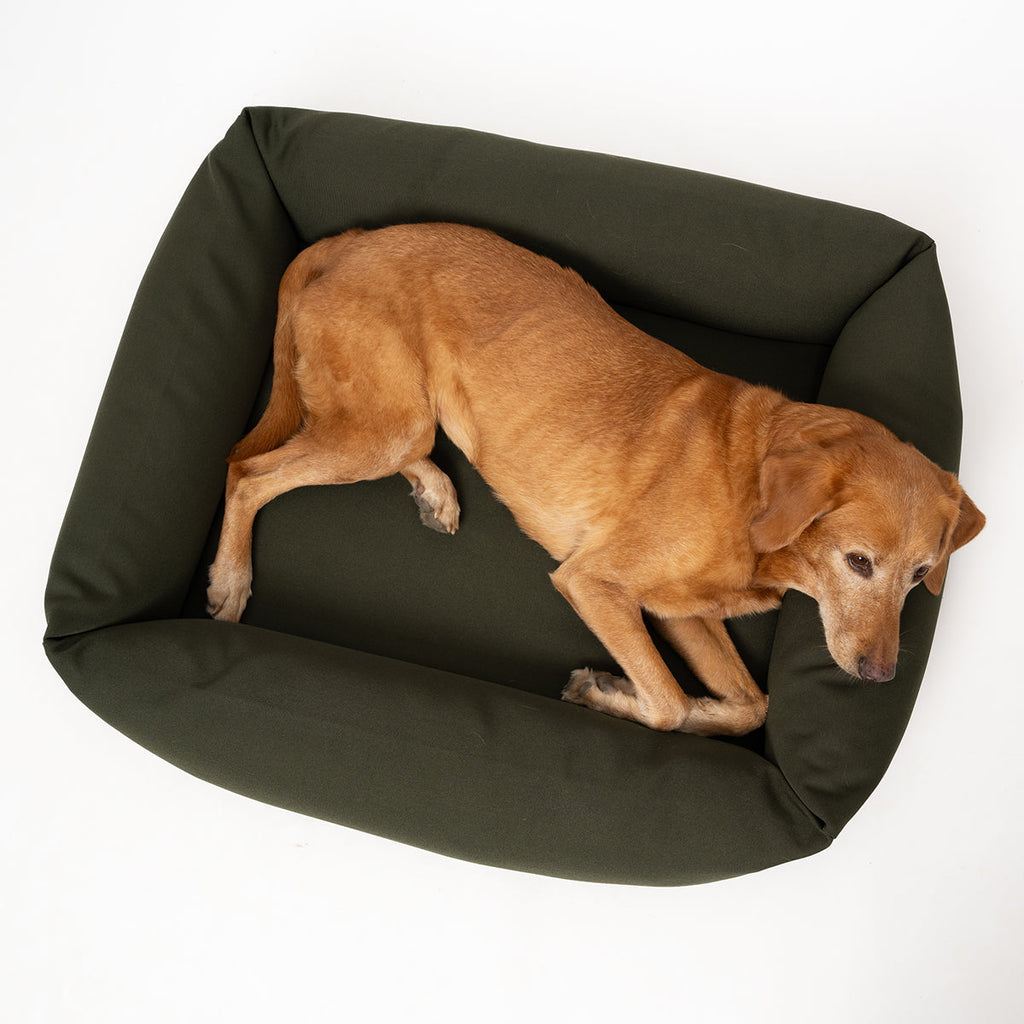 Bolster Dog Bed product image 6