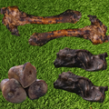 Dog Bone Bundle product image 1