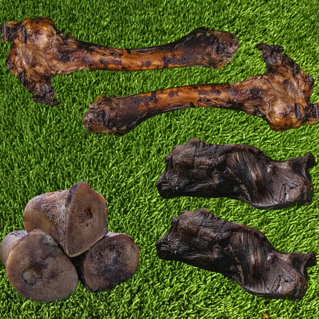 Dog Bone Bundle product image 1