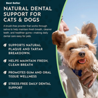 Dog Dental Powder product image 3