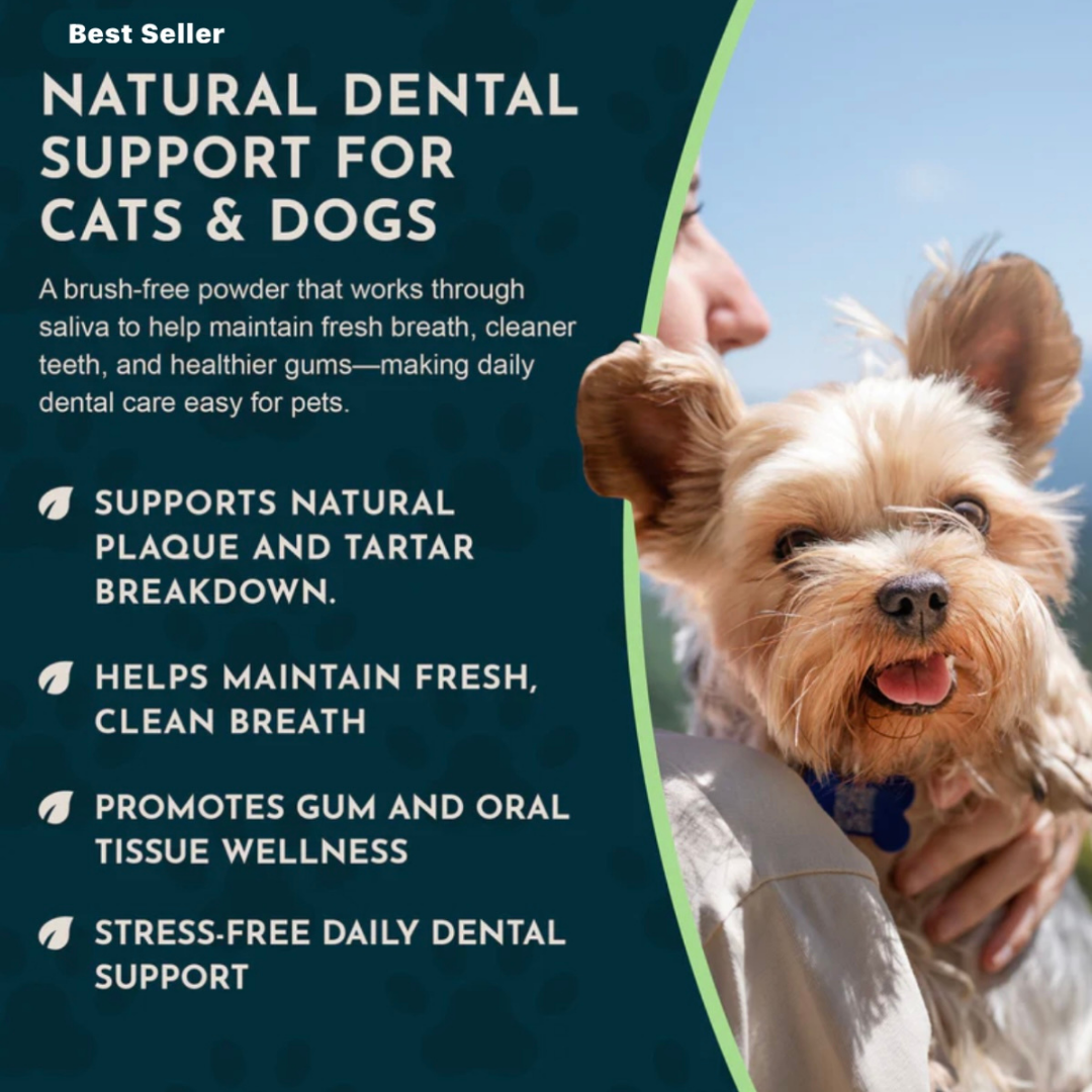 Dog Dental Powder product image 3