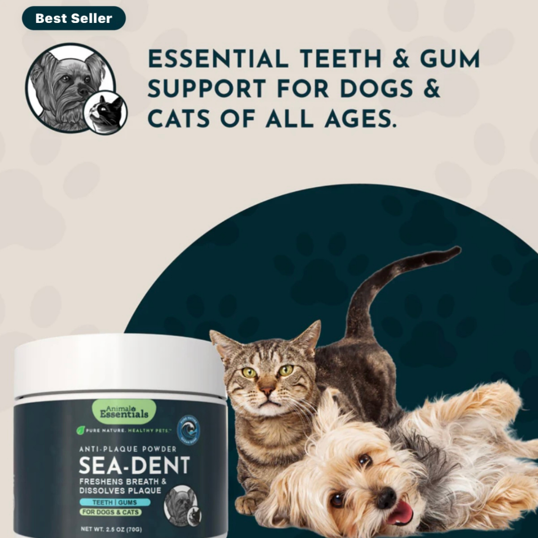 Dog Dental Powder product image 4