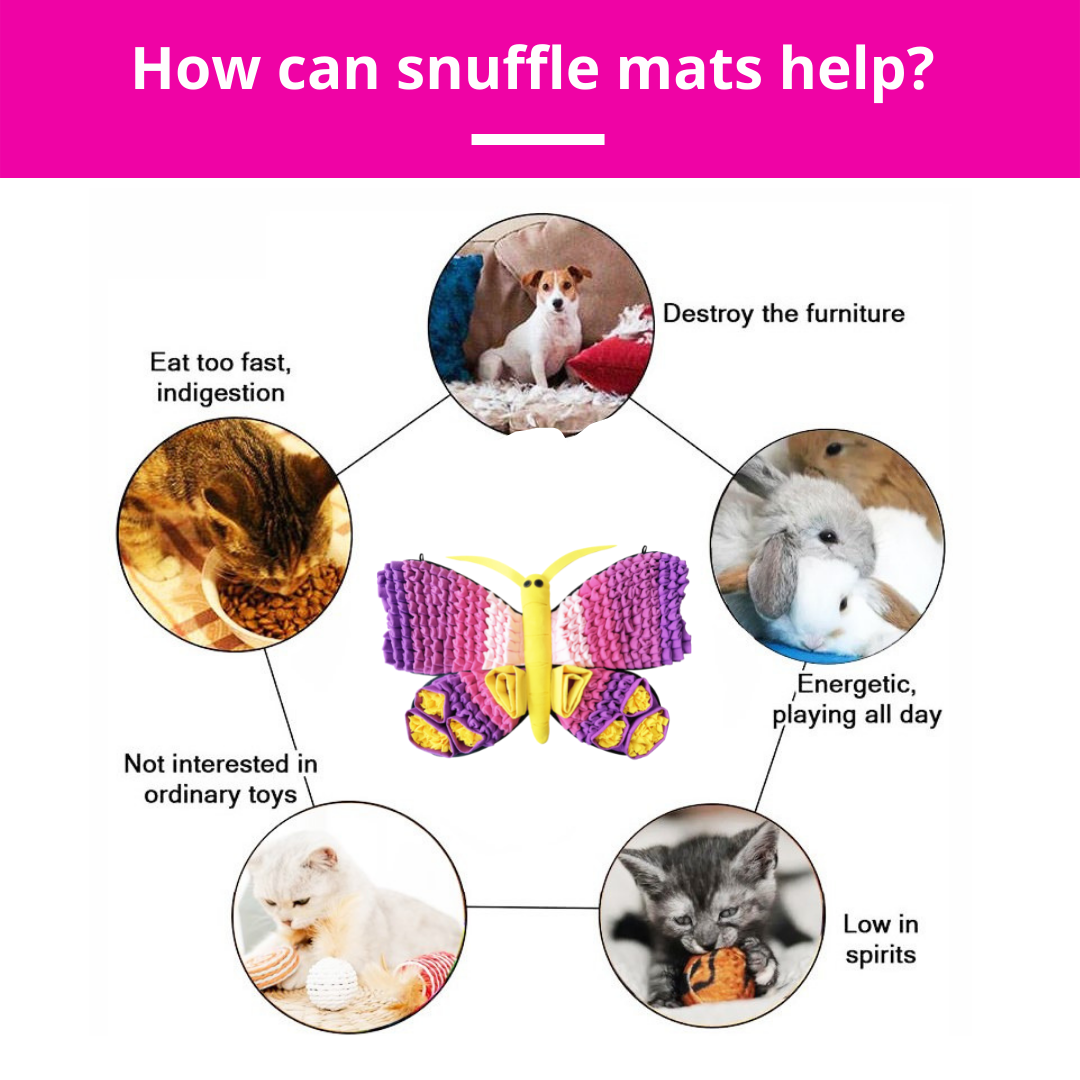 Dog Snuffle Mat product image 4