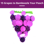Dog Snuffle Mat product image 6