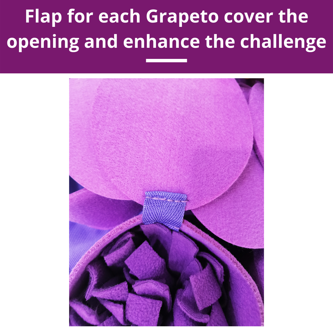 Dog Snuffle Mat product image 8