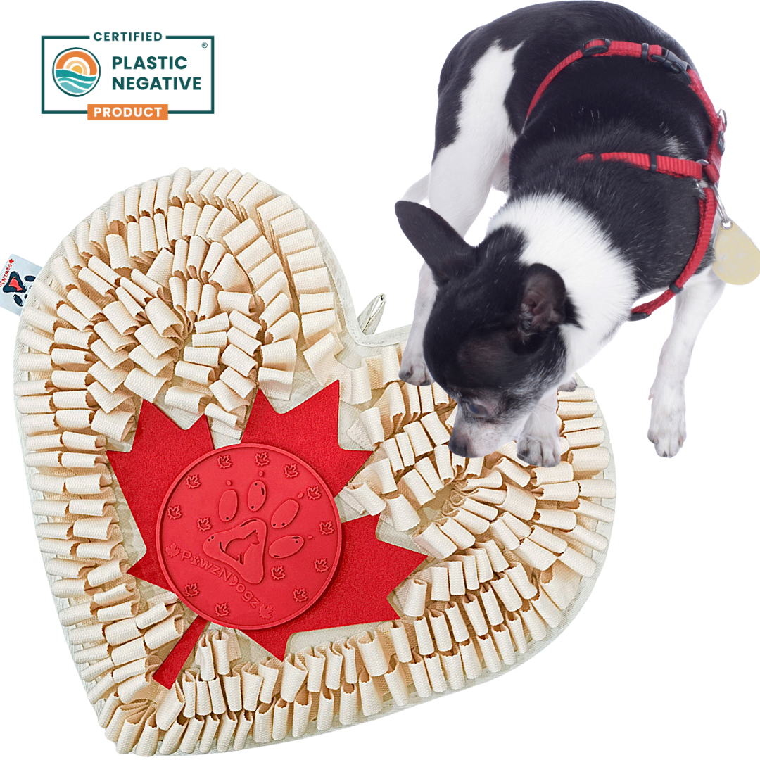 Dog Snuffle Mat product image 1