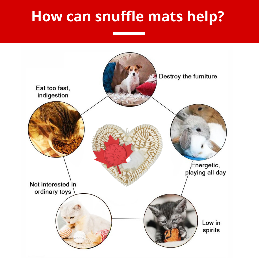 Dog Snuffle Mat product image 3