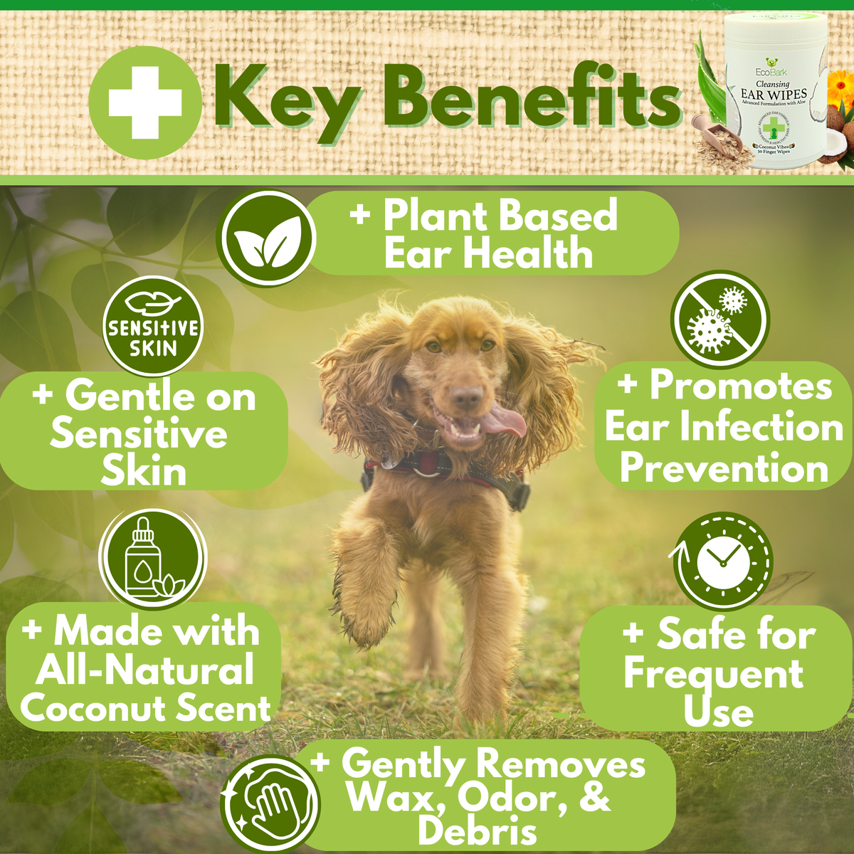 Dog Ear Cleaning Wipe product image 11