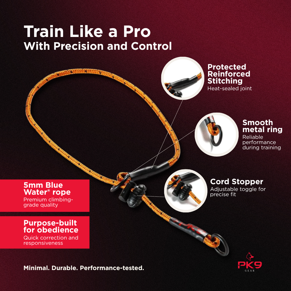 Dog Training Slip Collar product image 3