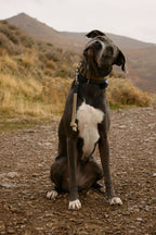 Dog Grab Tab product image 13