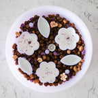 Slow Feeder Bowls product image 1