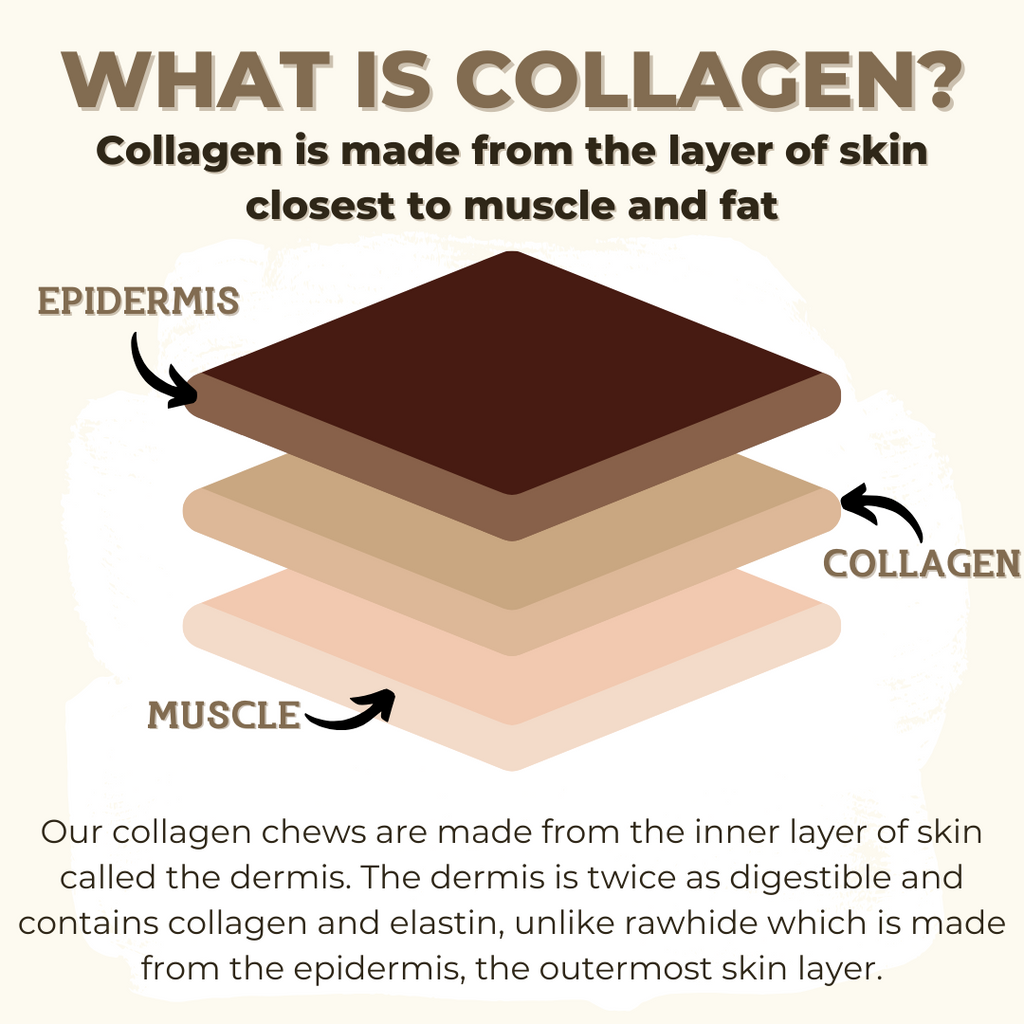 Infographic visually explaining the layers of the Bully Bunches 5-6 inch standard collagen wrapped in bully stick.
