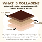 Infographic visually explaining the layers of the Bully Bunches 5-6 inch standard collagen wrapped in bully stick.