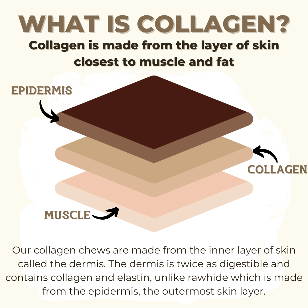Infographic visually explaining the layers of the Bully Bunches 5-6 inch standard collagen wrapped in bully stick.