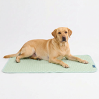 Breathable Cooling Dog Mat product image 51