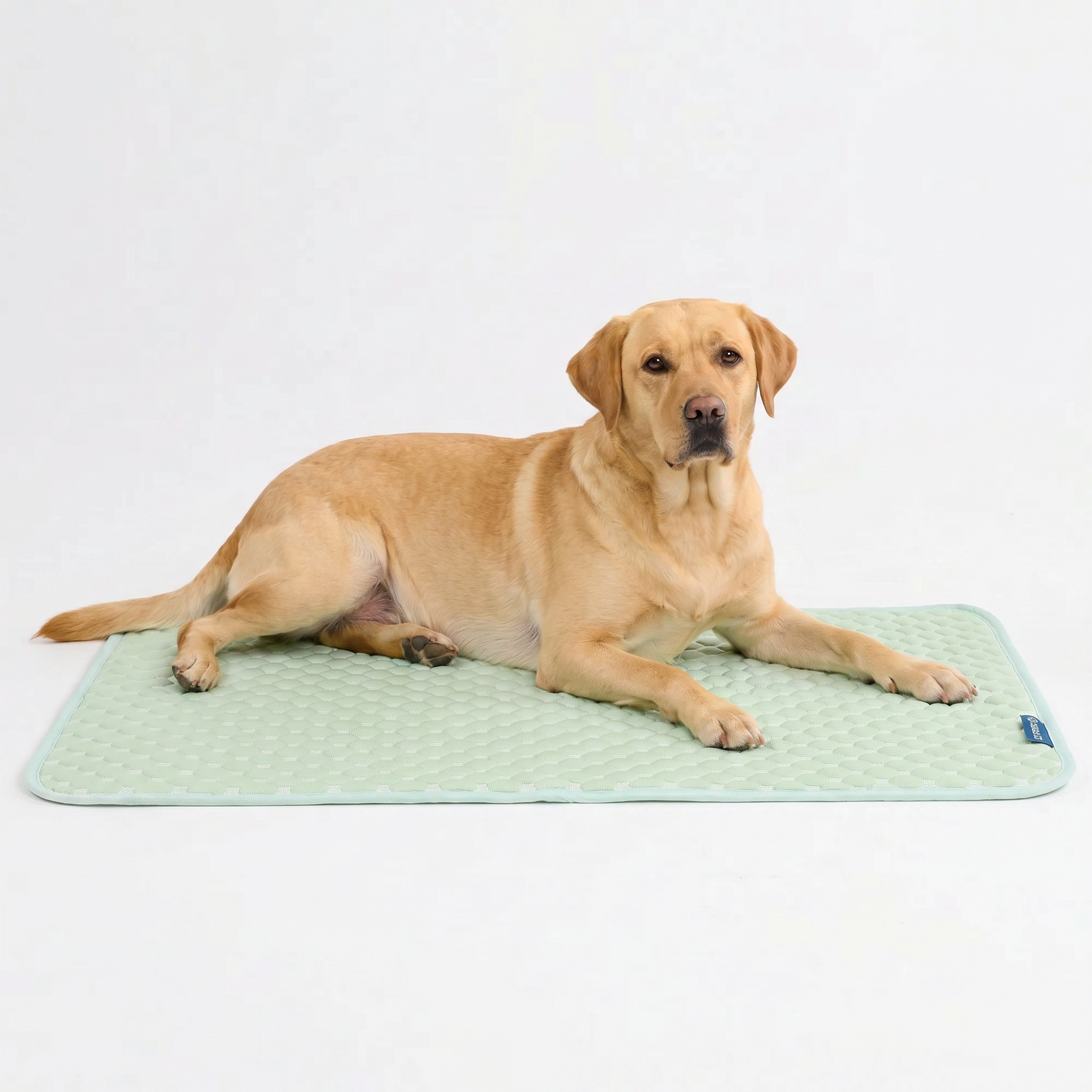 Breathable Cooling Dog Mat product image 51
