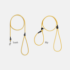 Dog Training Leash product image 1