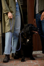 Dog Training Leash product image 2