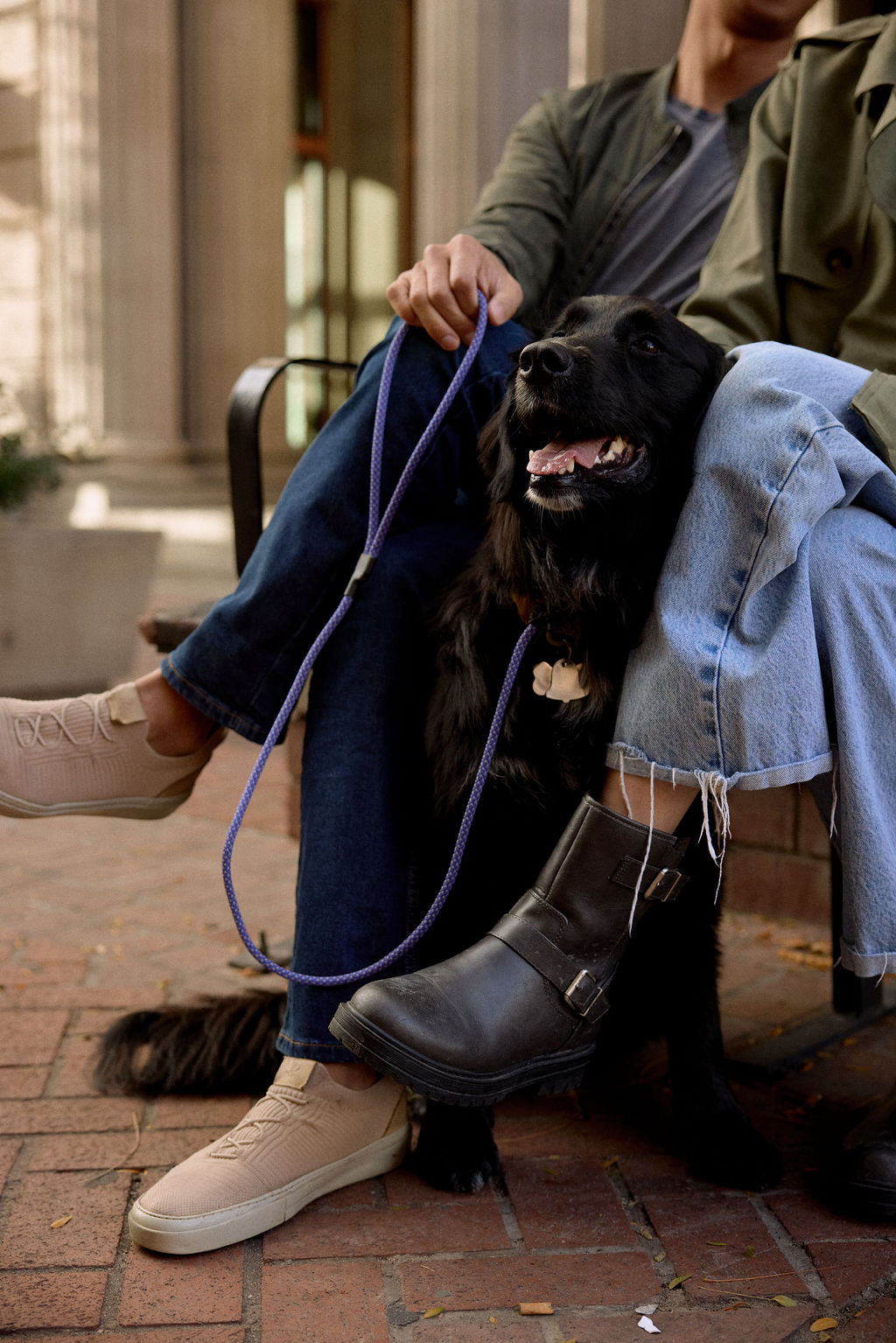 Dog Training Leash product image 7