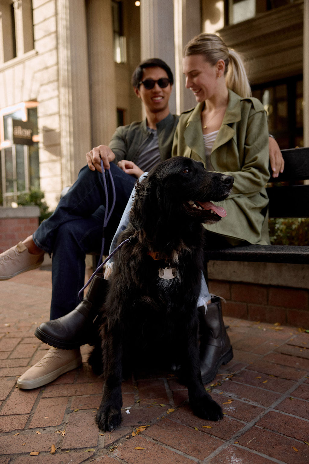 Dog Training Leash product image 8