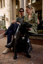 Dog Training Leash product image 8